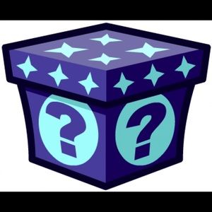 Mystery fashion and accessories box! Size XS-S